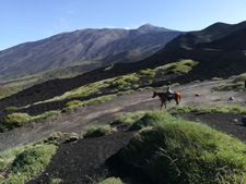 Italy-Sicily-Cefalu to Etna